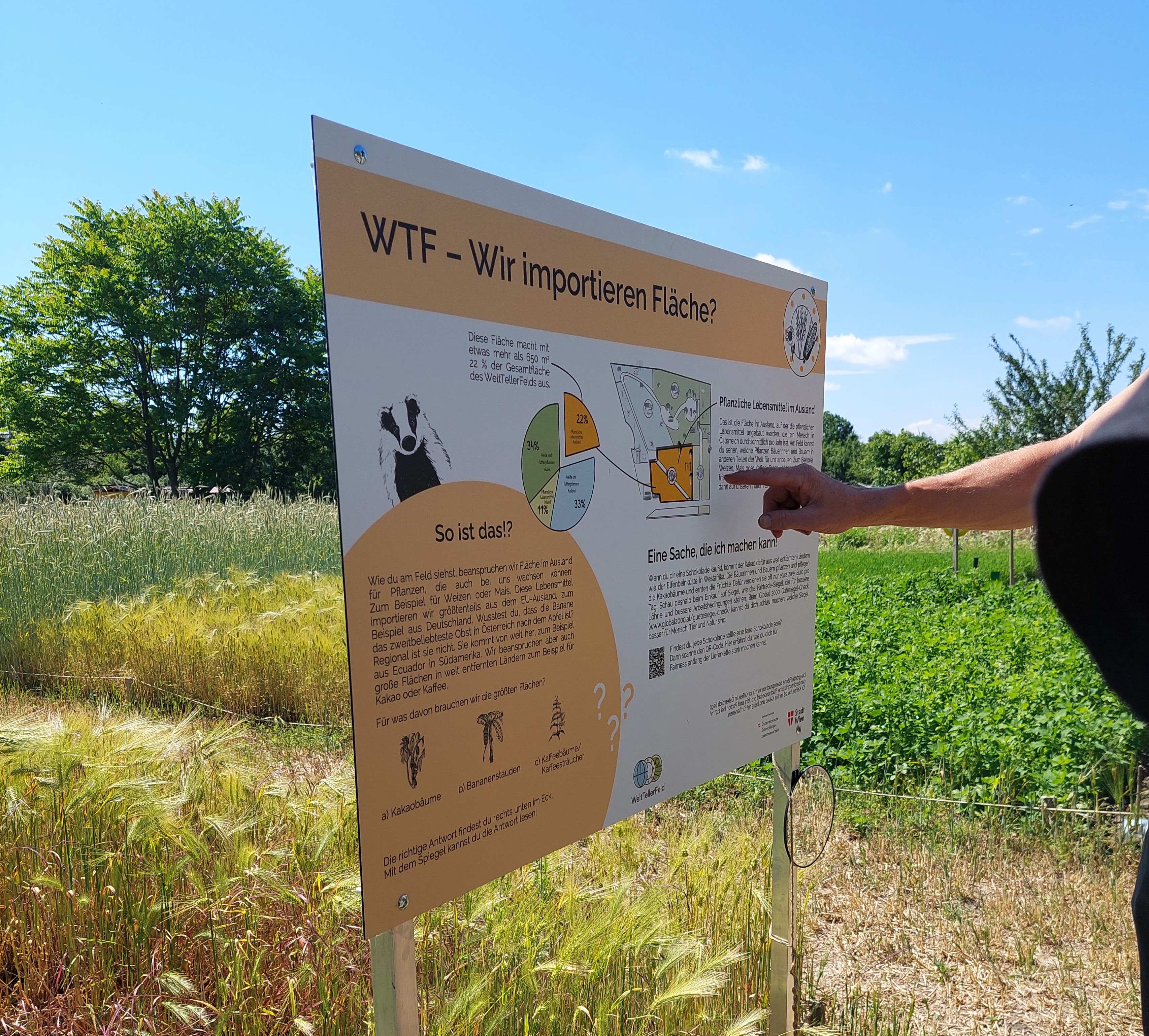 Welttellerfeld