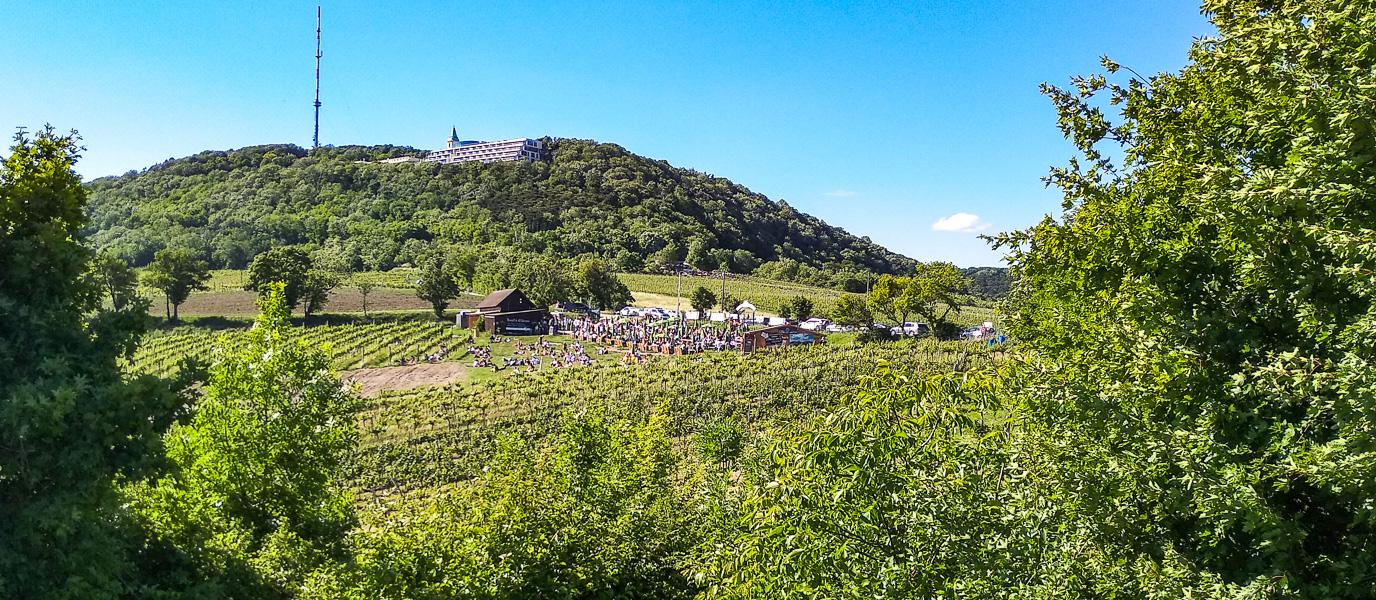 Nußberg und Sender Kahlenberg