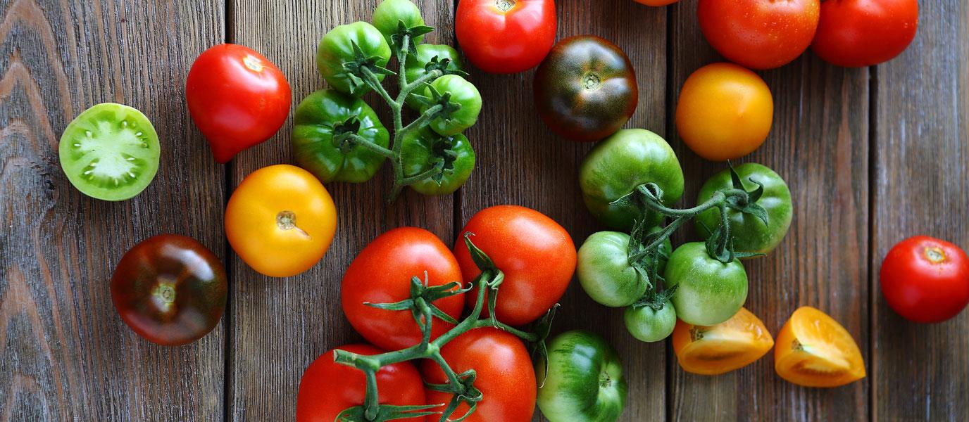 bunte Tomaten