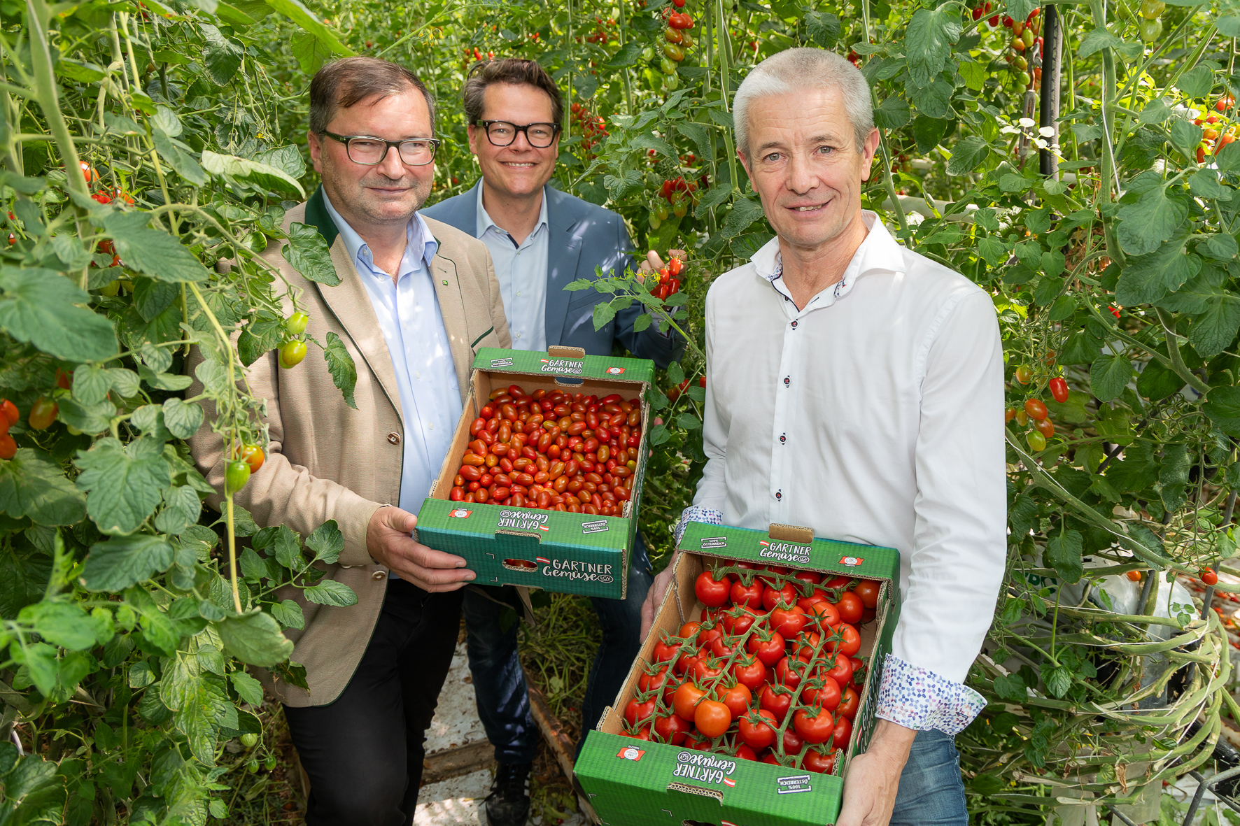 Norbert Walter, Jürgen Czernohorszky, Martin Merschl
