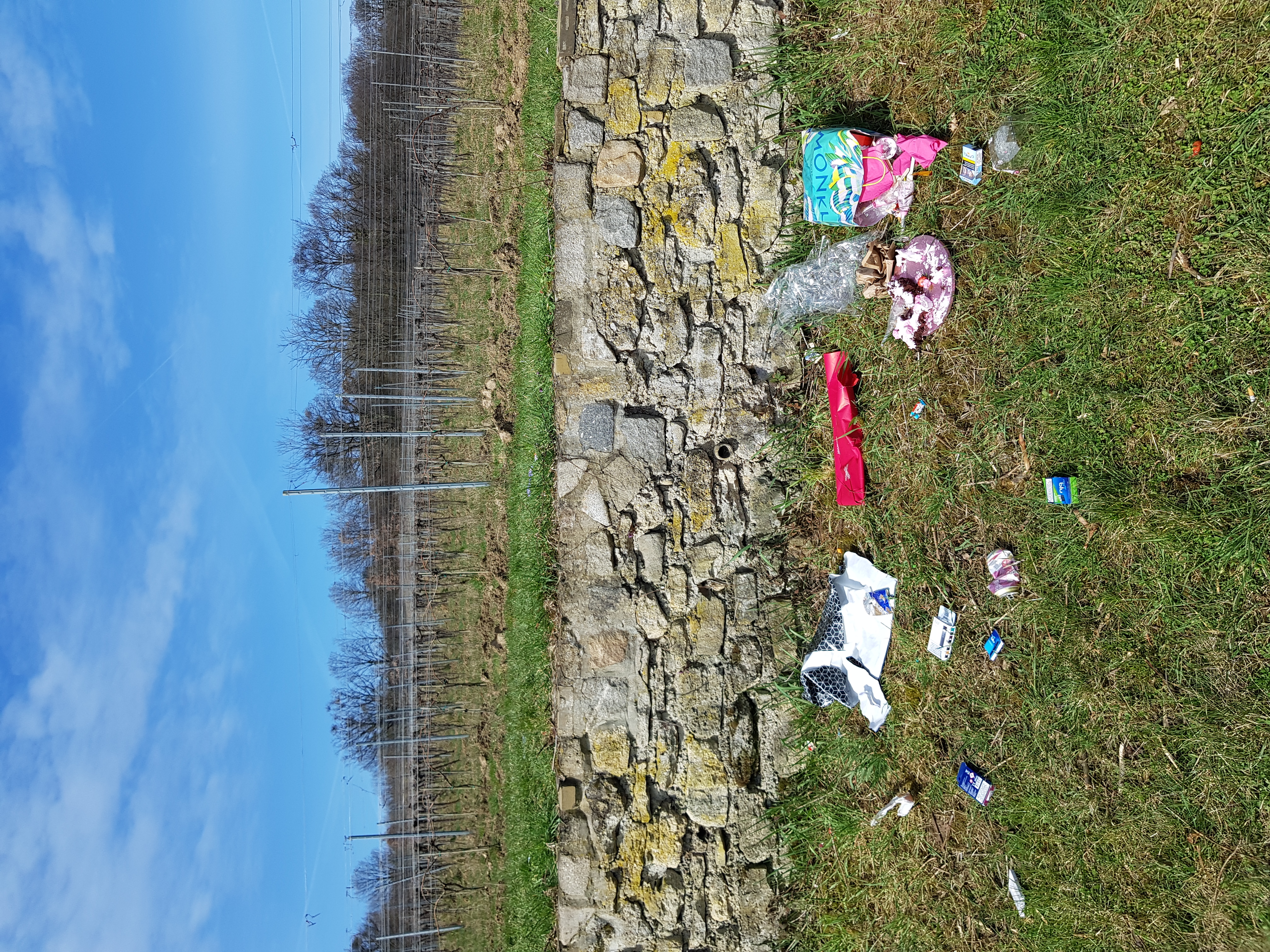 Müll in den Weinbergen in Mauer