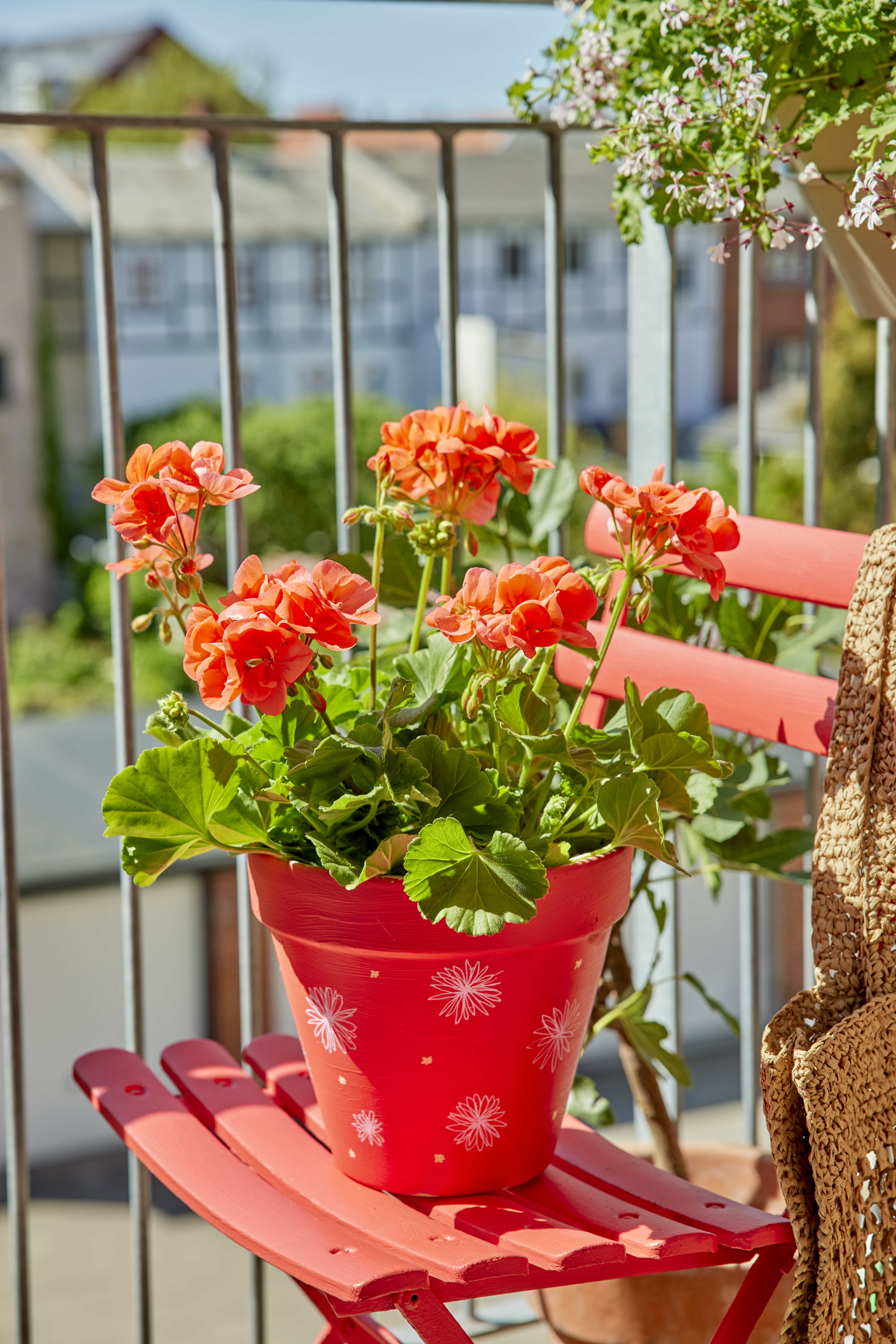 Pelargonien auf einem kleinen Balkon