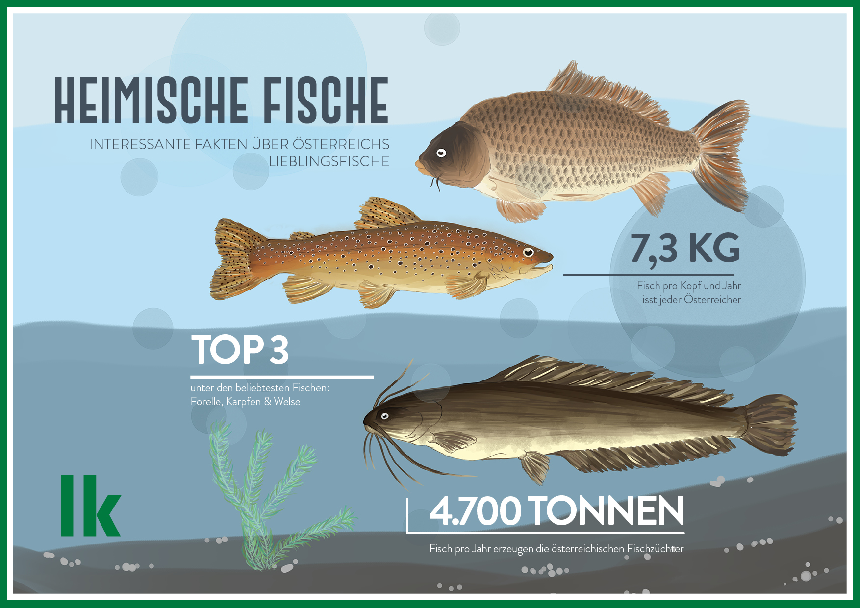 Infografik: Heimische Fische, interessante Fakten über Österreichs Lieblingsfische, 7,3 kg Fisch pro Kopf und Jahr isst jeder Österreicher, TOP3 unter den beliebtesten Fischen sind Forelle, Karpfen und Welse, 4700 t Fisch pro Jahr erzeugen die österreichischen Fischzüchter
