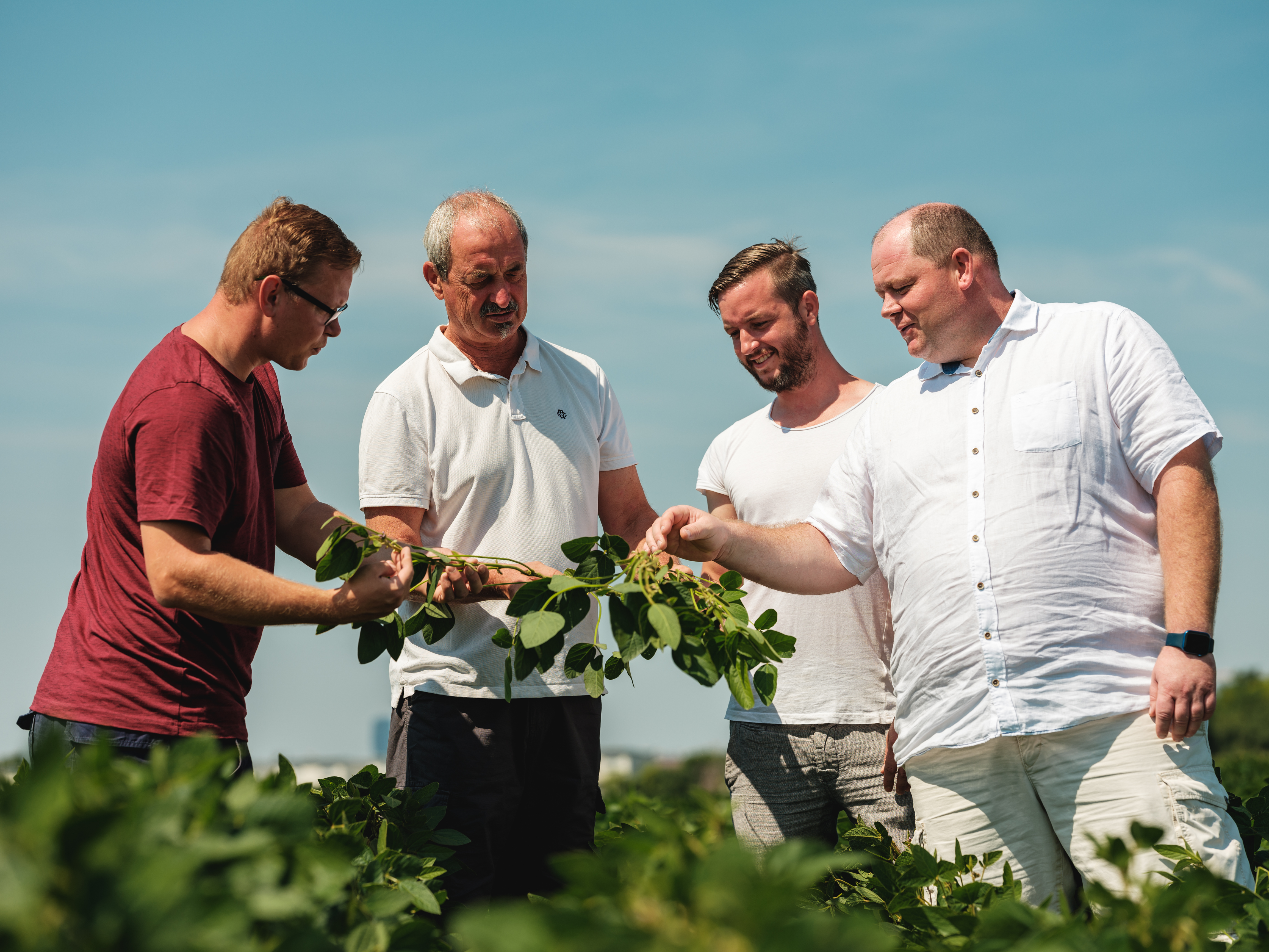 Landwirte auf Soja Feld