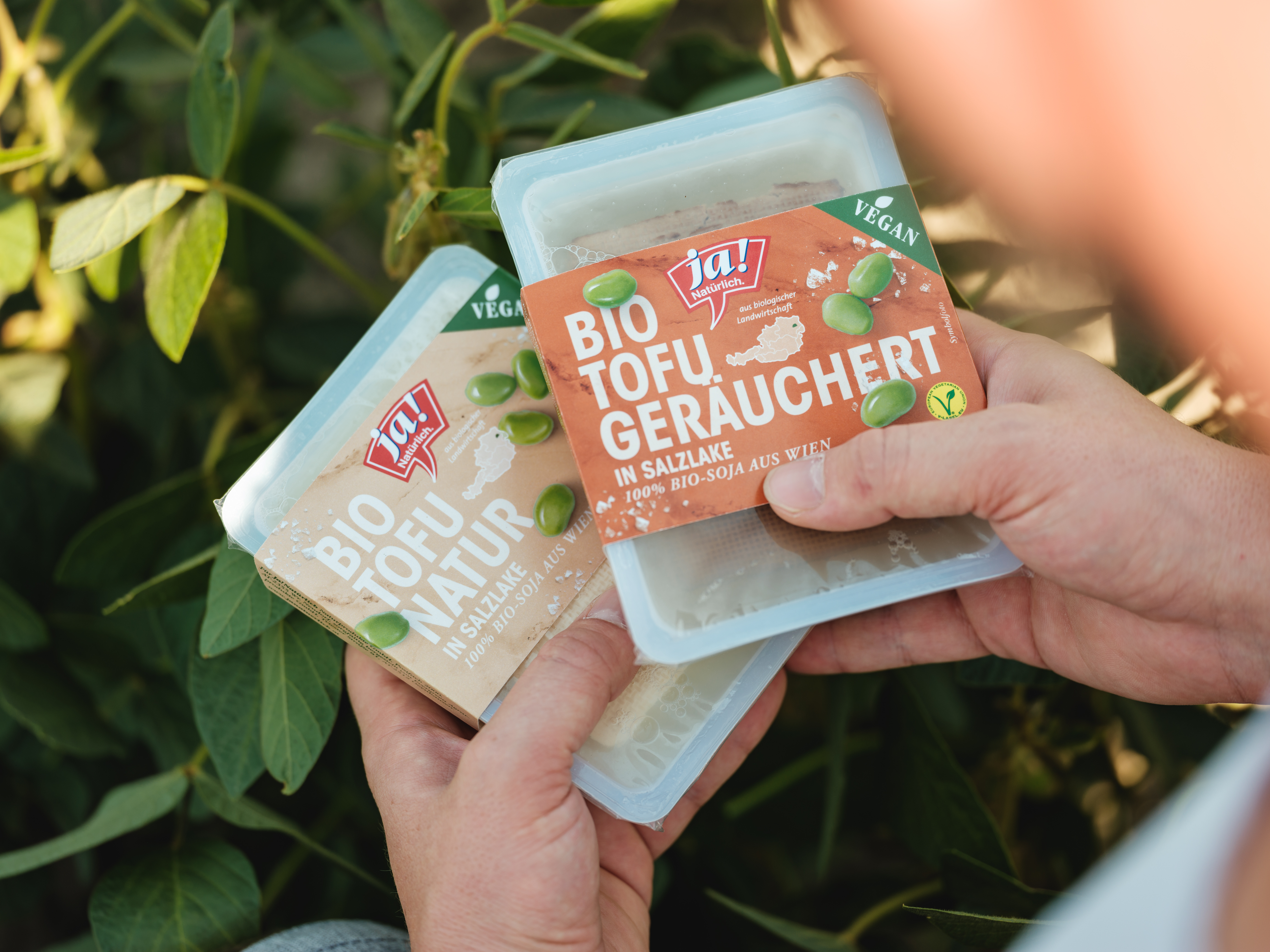 Ja! Natürlich Bio Tofu natur und geräuchert