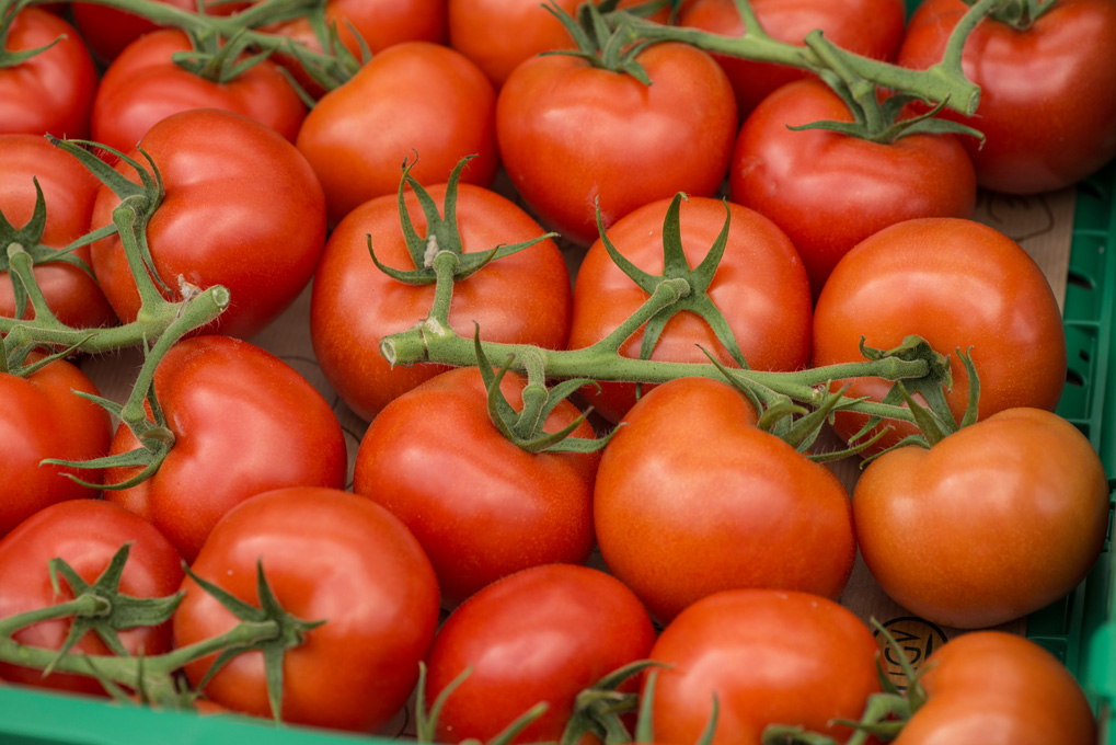 Tomaten