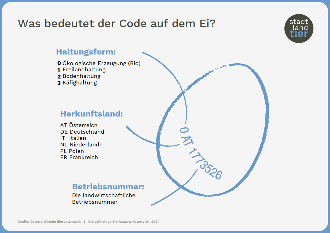 Was bedeutet der Code am Ei?