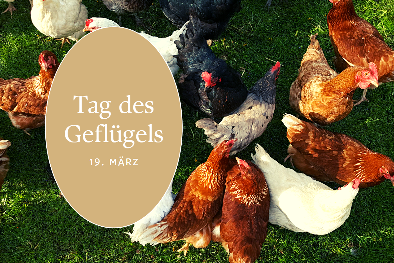 Tag des Geflügels