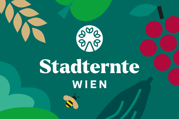 Stadternte Wien