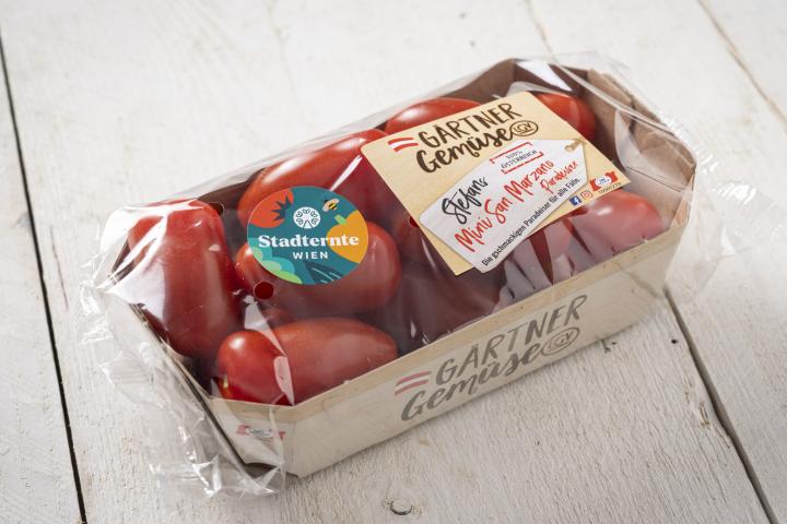 Tomaten in Papierschale - Stefans Mini San Marzano Paradeiser