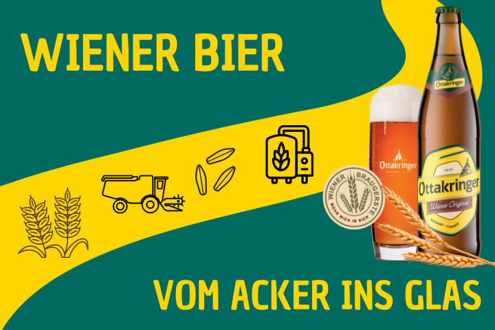 Das Wiener Bier - der Weg vom Acker ins Glas