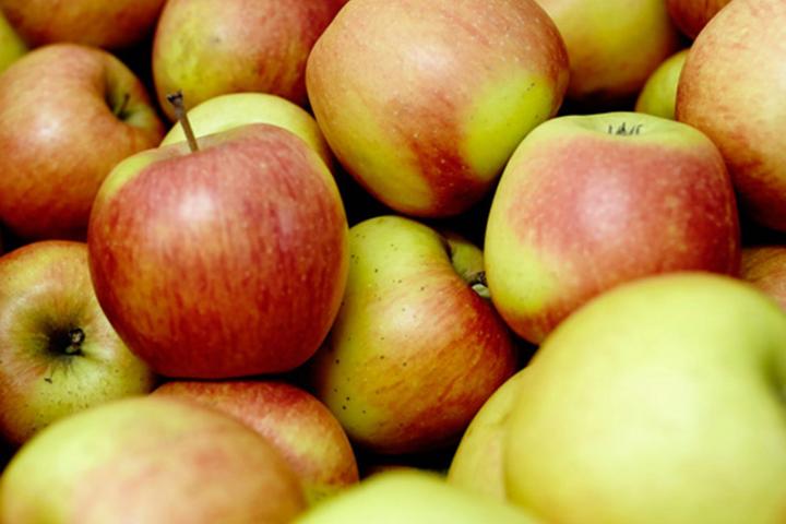Äpfel