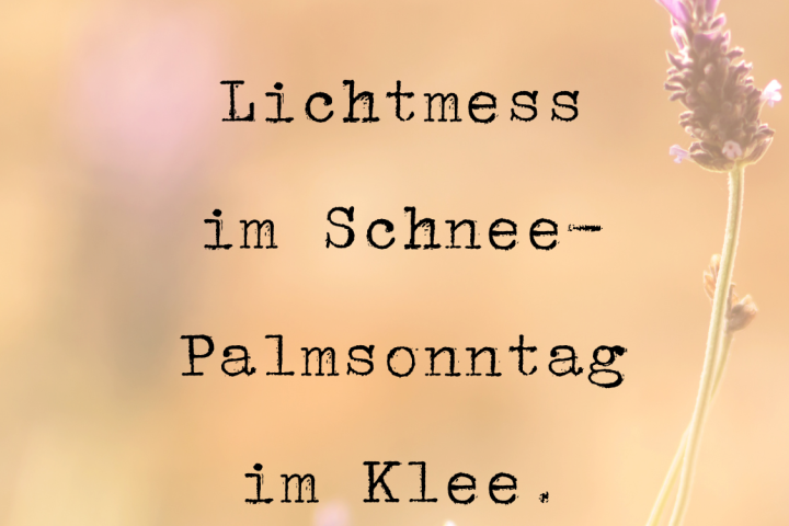 Lichtmess im Schnee - Palmsonntag im Klee