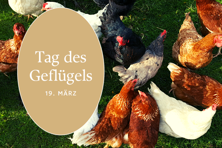Tag des Geflügels