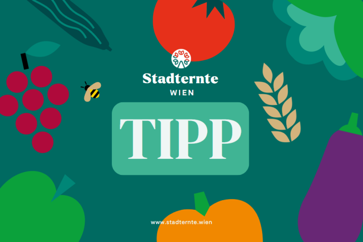 Stadternte Wien Tipp