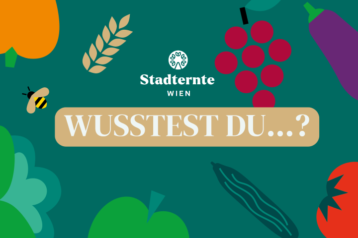 Wusstest du...