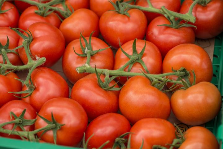 Tomaten
