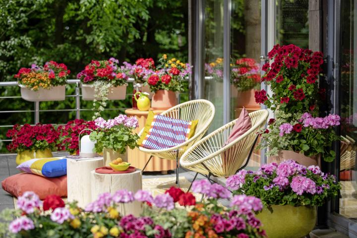 Balkon mit Blumen