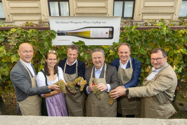 Weinlese am Schwarzenbergplatz 
