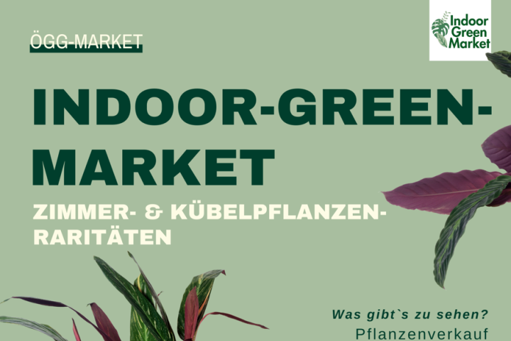 Plakat Indoor Green Market