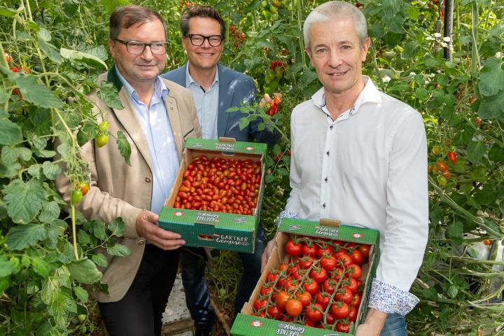 Norbert Walter, Jürgen Czernohorszky, Martin Merschl