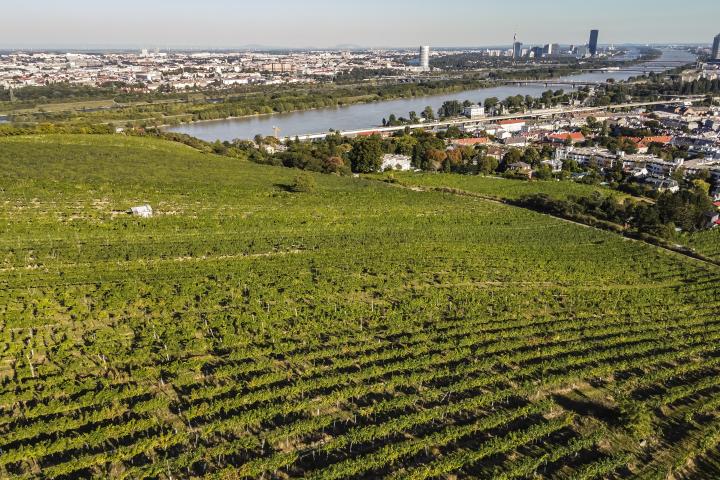 Wien Nussberg