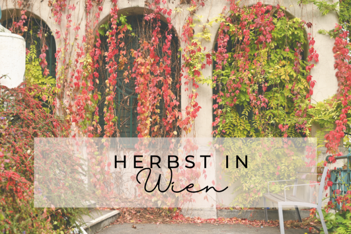 Herbst in Wien