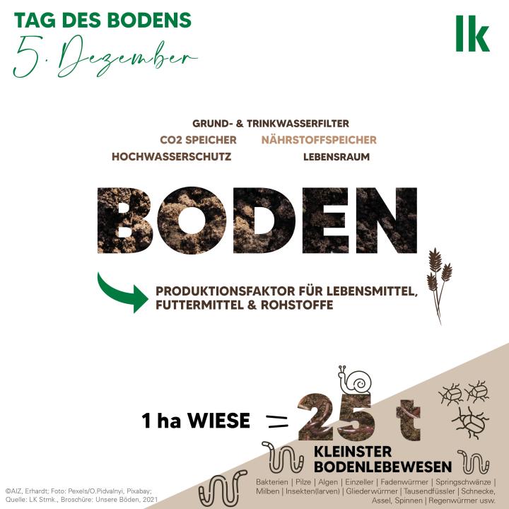 Funktionen des Bodens