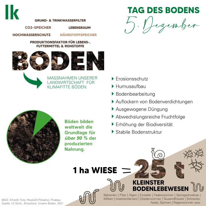 In 1 ha Wiese finden sich 25 t kleinster Bodenlebewesen