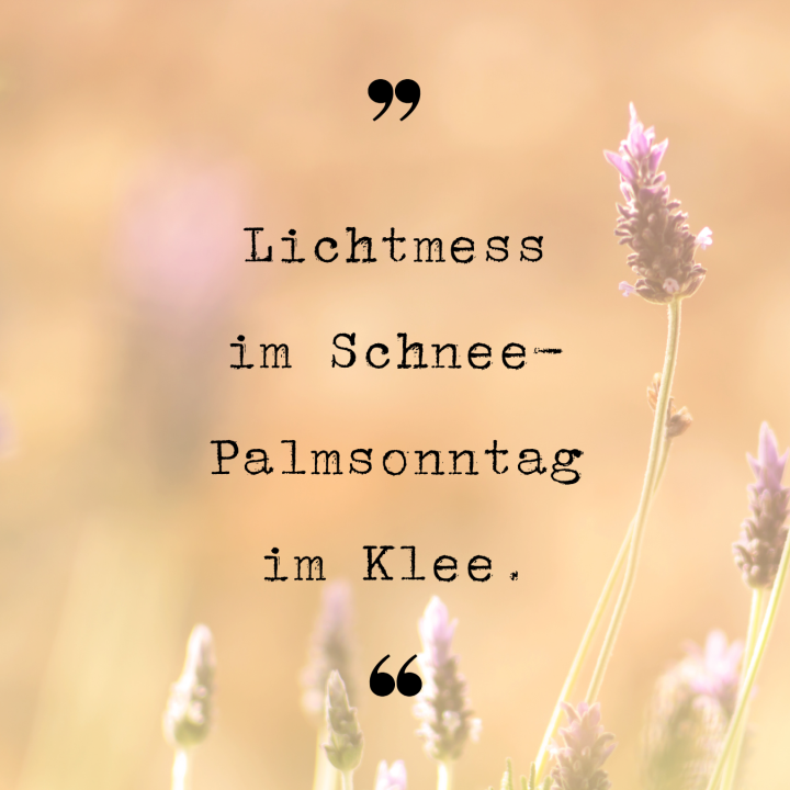 Lichtmess im Schnee - Palmsonntag im Klee