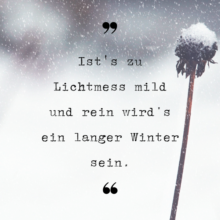 Ists zu Lichtmess mild und rein wird s ein langer Winter sein.