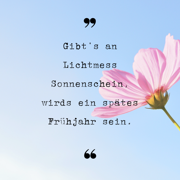 Gibts an Lichtmess Sonnenschein, wirds ein spätes Frühjahr sein.