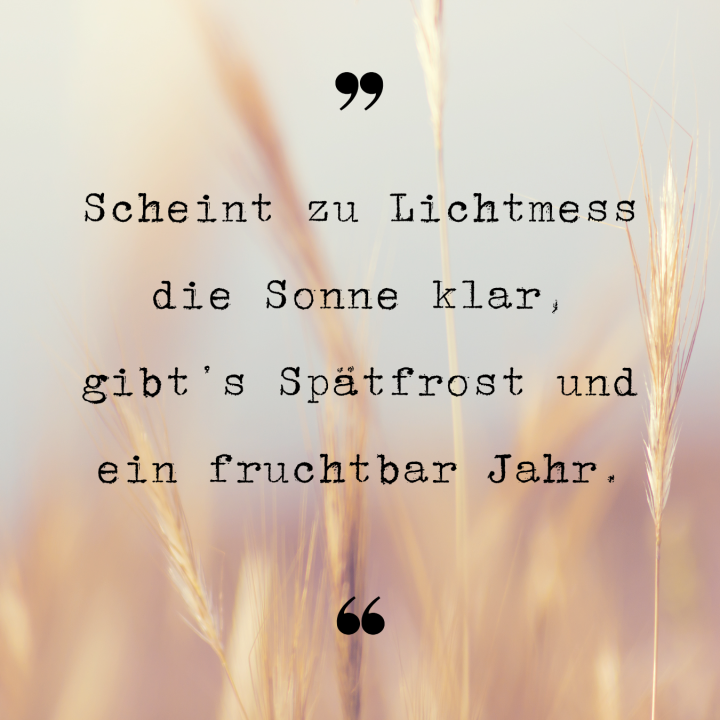 Scheint an Lichtmess die Sonne klar, gibts Spätfrost und ein fruchtbar Jahr.