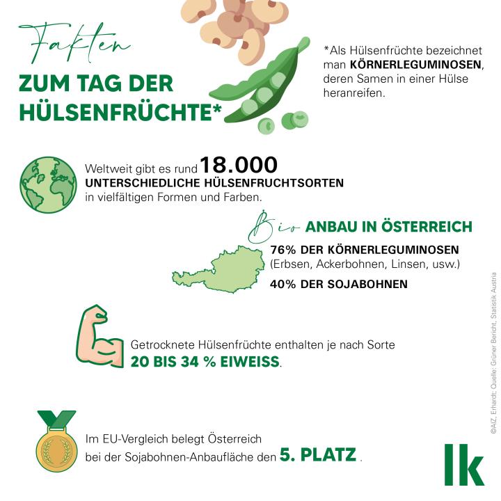 Tag der Hülenfrüchte